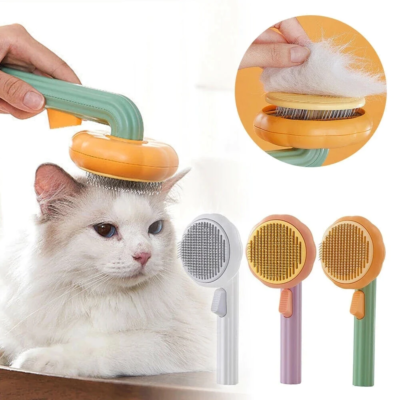 Pet Accessories